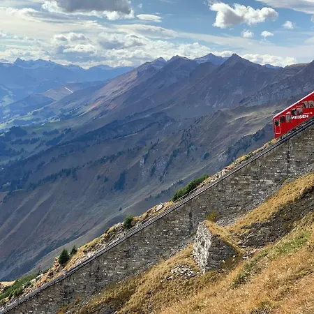 Mountlake House * 施皮茨