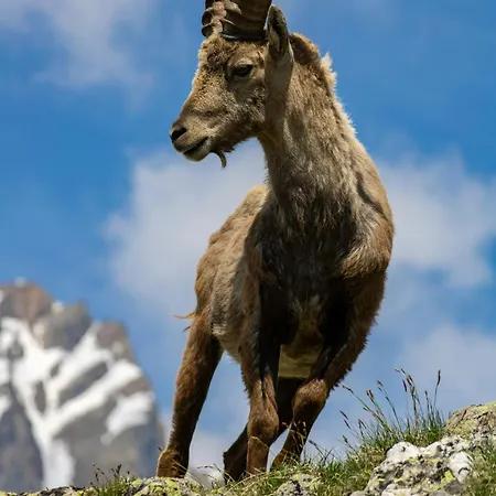 度假居 Mountlake House 施皮茨